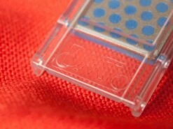 DMT Mini-Sharp Diamond Key-Chain Sharpener -tools shop MS MINI H big